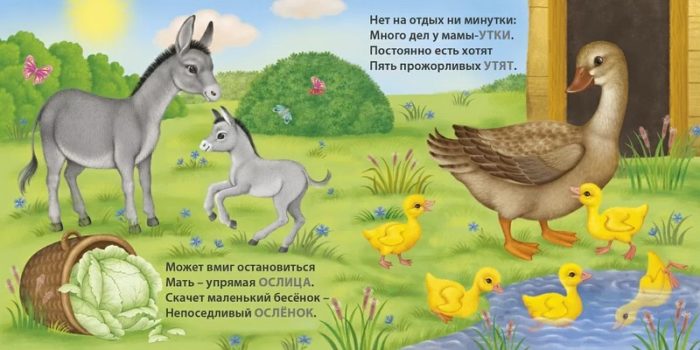 8211 Книжки - картонки. Загадки - рифмы. Мамы и малыши. Домашние животные